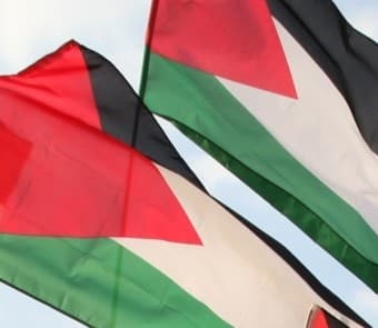 Palestinian flags