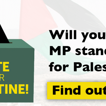Will your next MP stand up for Palestine? Find out: http://act.palestinecampaign.org/lobby/votepalestine