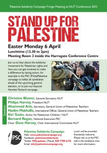 NUT fringe flyer 15